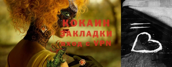 молекула духа Коряжма