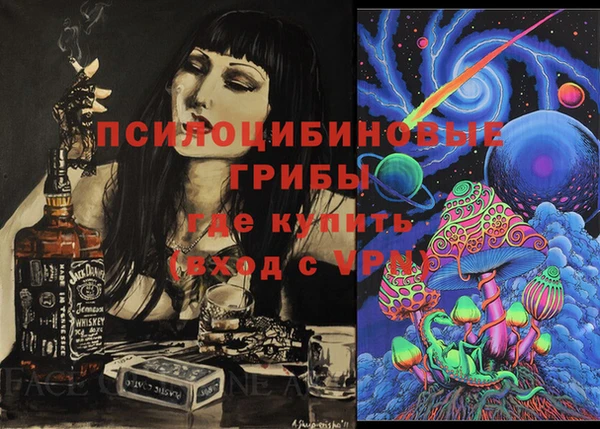 мдпв Корсаков