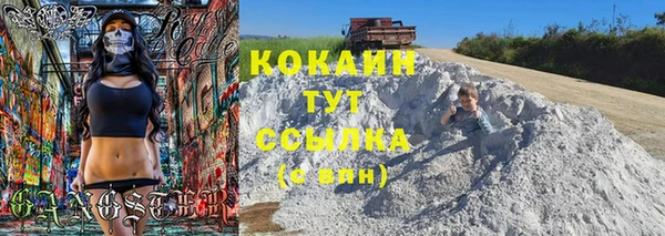 молекула духа Коряжма