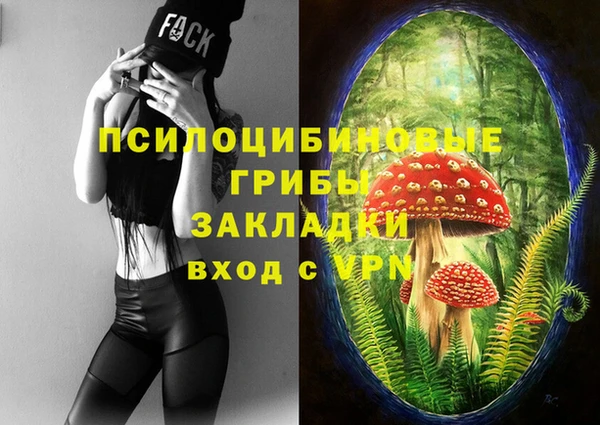 молекула духа Коряжма