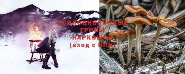 мдпв Корсаков